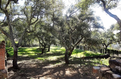 Aracena Cottage | La Gallega Rural House. Charm and tranquility in the Sierra de Aracena.