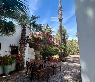 Las Negras Apartment | La Washingtonia