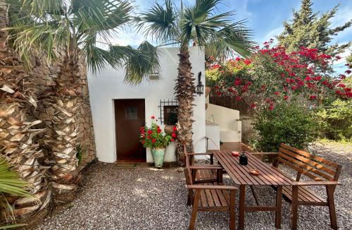 Las Negras Apartment | La Washingtonia