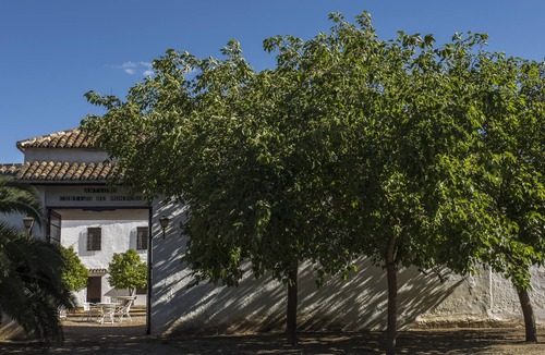 Campillos House | Large Spanish Cortijo in Andalucia with private pool, paddle lit