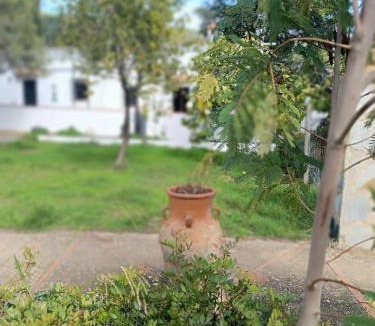 Higuera de la Sierra House | Las Casitas de Higuera