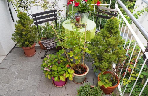 Muttenz Bed & Breakfast | Linde