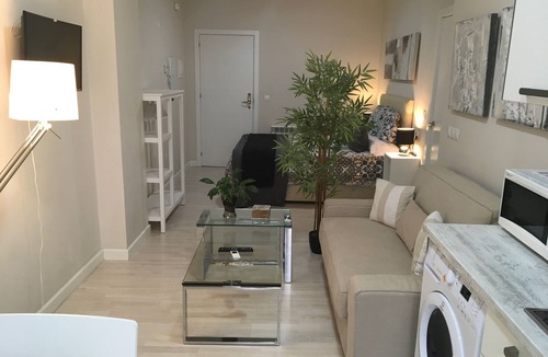 Figares Apartment | LOFT IN THE CENTER OF GRANADA (RECOGIDAS)