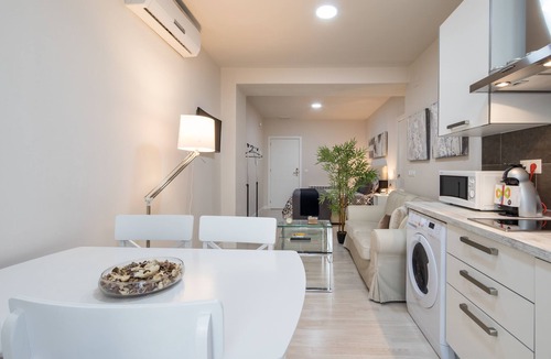 Figares Apartment | LOFT IN THE CENTER OF GRANADA (RECOGIDAS)