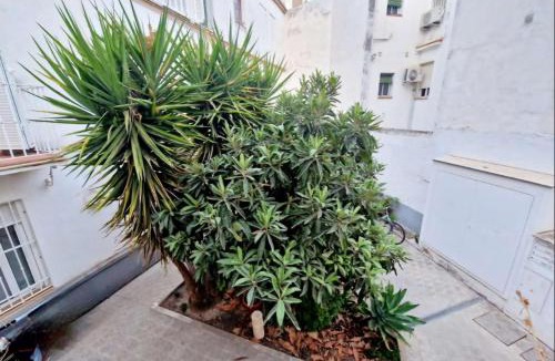 San Julian Apartment | Loft luz del Duque