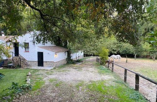 Benamahoma Apartment | Loft Rural El Pajar del Molino