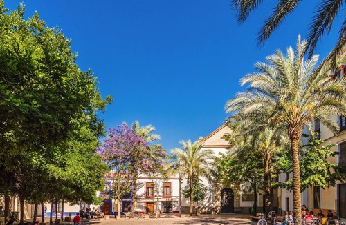 Santiago Apartment | Lovely apartment in Cordoba with WiFi