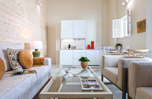 San Vicente Apartment | Luxury duplex in Seville with a private pool. Mendoza Rios II