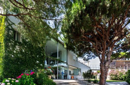 Mazagon Hotel | Mazagonia