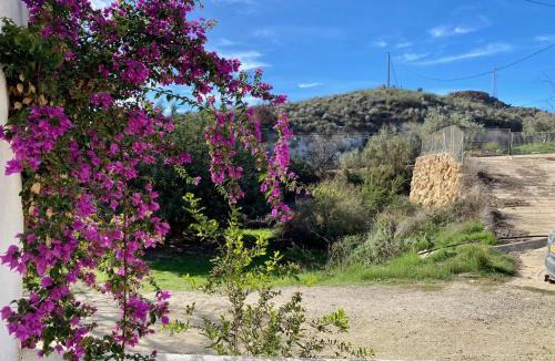 Los Gallardos Apartment | Mojacar farmhouse apartments with pool