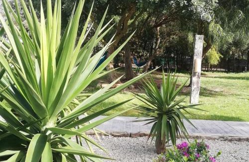 El Palmar House | Nexo Surf House