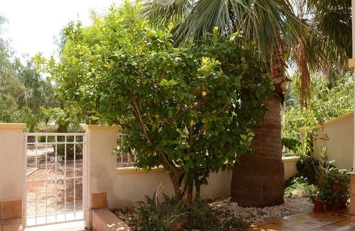 El Algar House | Olivos 8 by Interhome