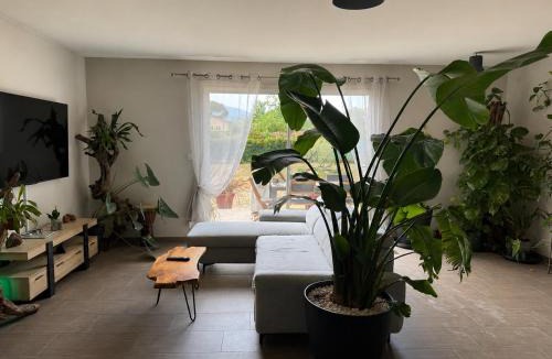Foix House | Ophidia