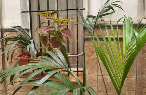 Vistaalegre Apartment | Patio del Maestro, Céntrico, al Lado de la Estación