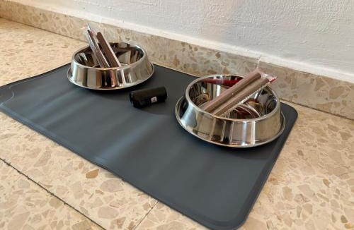 El Bosque Apartment | Pet Friendly Apto El Sendero