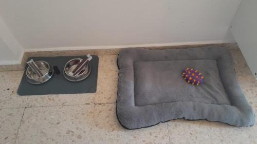 El Bosque Apartment | Pet Friendly Apto El Sendero