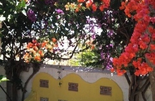 Velez-Malaga House | Relax by your private pool surrounded by garden or at beach only 300 meters .
