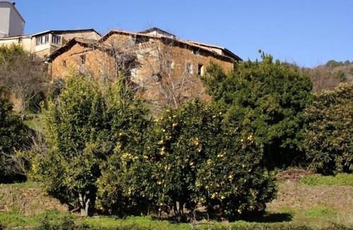 Torre de Don Miguel Cottage | Rural apartment El Corral de la Higuera for 6 people