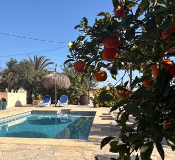 Fustera House | Rustico Appartment 'Olta' in finca, see-and garden side
