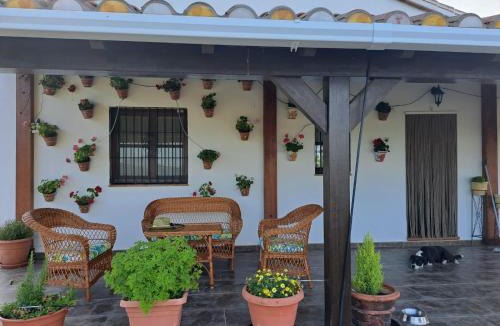Alozaina House | Salvador