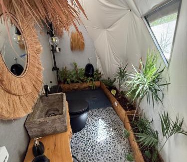 Tarifa Other | Seed Domo Tarifa
