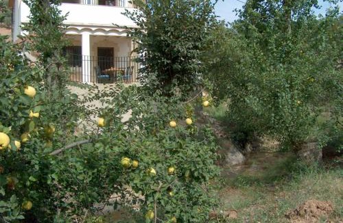 Rute Villa | Spacious House Zambra + Pool