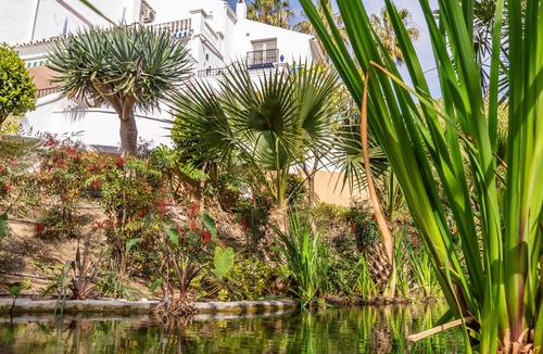 Oasis del Capistrano Apartment | Tetuan 31 - El Oasis de Capistrano!