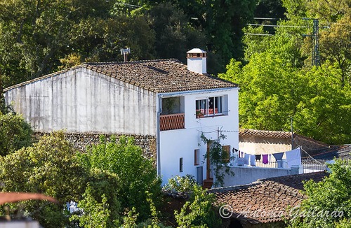 Jabugo Cottage | The Green Frog, families with children, nature, hiking, gastronomy, culture.