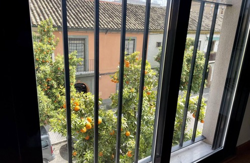 Distrito Sur Apartment | The Orange Tree Balcony: Modern Apartment in Central Córdoba