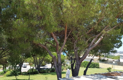 Urbanizacion Puerto de Estepona Apartment | The Place of Light
