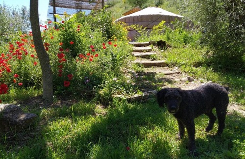 Setenil de las Bodegas RV Rental | The ultimate in green accommodation