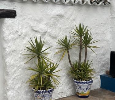Villanueva de San Juan House | Traditional Village House with Private Pool in Villanueva de San Juan
