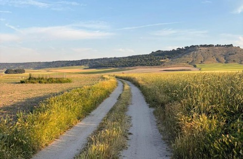Mata de Cuellar Villa | Un mar de pinares