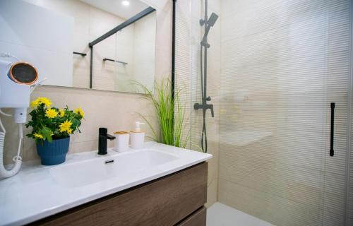 Malaga Historic Centre Apartment | Urban living at Malaga Center