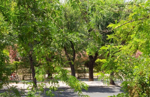 San Bernardo Apartment | Veoapartment Jardines Murillo