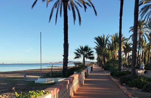 Estrella del Mar Villa | View of the sea and the private garden with palm trees and an olive tree.