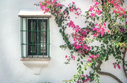 Montellano Villa | Villa 296 by Villamya