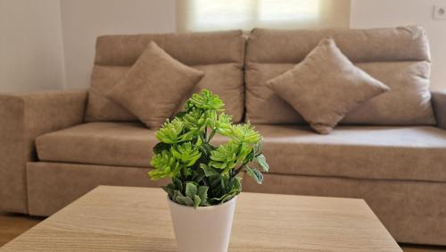 Chiclana de la Frontera Villa | Villa Candari
