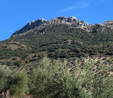 Torre del Campo Villa | VILLA de DULCE