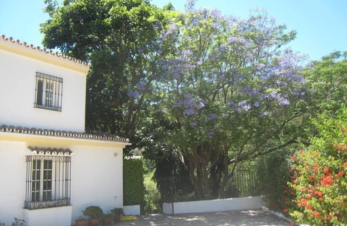 New Golden Mile House | Villa La Recalada with private pool