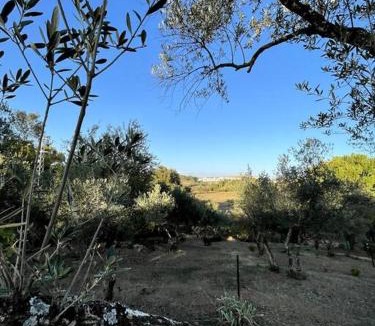 Cazalla De La Sierra Apartment | Villa María, casa rural en Cazalla de la Sierra.