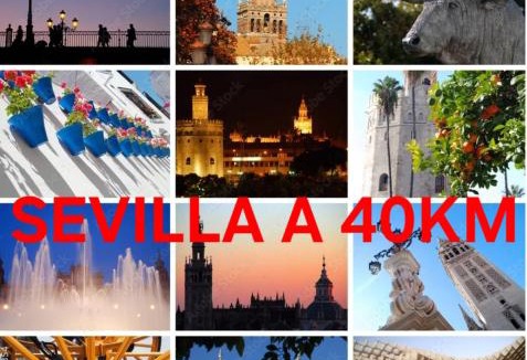 Villalba del Alcor House | Villa Mirador del Sol, 45min playas de Doñana, 35min de Sevilla, Bodegas de Vinos
