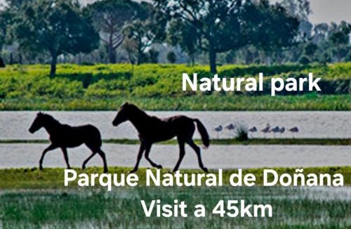 Villalba del Alcor House | Villa Mirador del Sol, 45min playas de Doñana, 35min de Sevilla, Bodegas de Vinos
