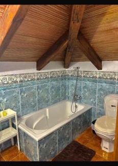 Zarzuela Ski Chalet | Villa Natalia