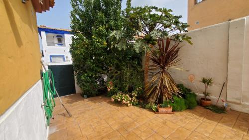 Bolonia Villa | Villa Tahona
