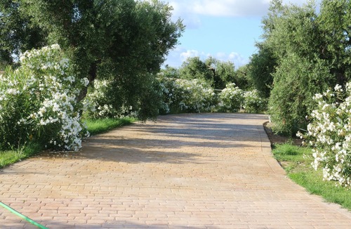 Arcos de la Frontera Cottage | Villa with free wifi and 2 swimming pools: outdoor and indoor in Arcos de la Frontera