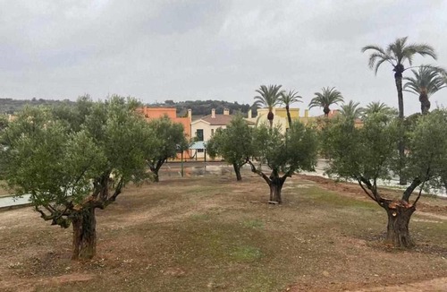 Mancha Real House | Villas rurales arroyovil 29 ideal familias