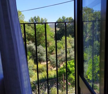 El Bosque Apartment | Vivienda Majaceite