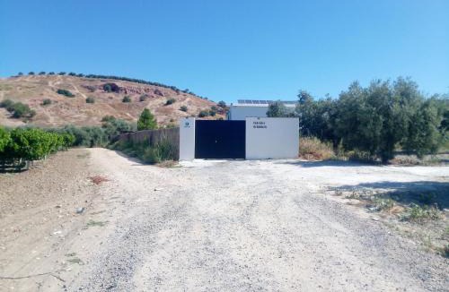 Los Agustines House | VTAR CASILLA MIGUELIN