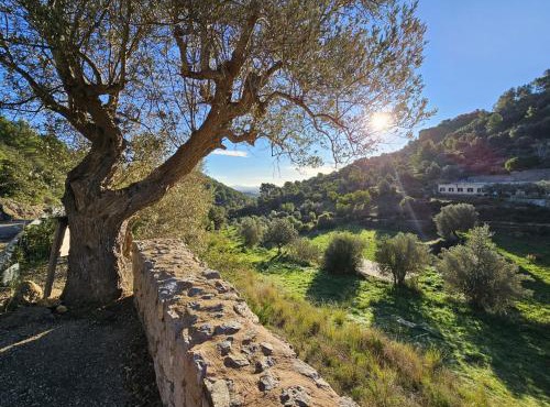 Agroturismo Finca Can Sec in Alaró